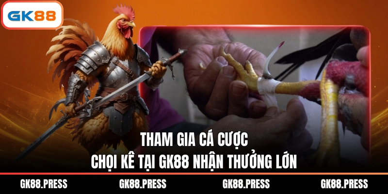 Tham gia cá cược chọi kê tại GK88 nhận thưởng lớn