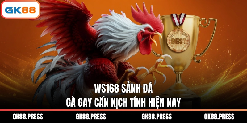 WS168 sảnh đá gà gay cấn kịch tính hiện nay